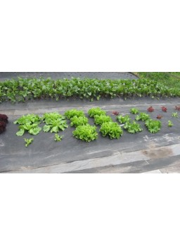 Anti worteldoek, gronddoek 150 gr p/m² ( Aziatische kwaliteit )