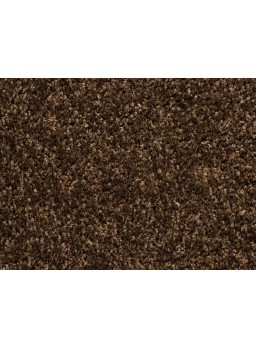 Deurmat - 80 x 120 – Hamat Twister - Schoonloopmat – Vuil- en Vochtabsorberende mat – Antislip – Voor Binnen